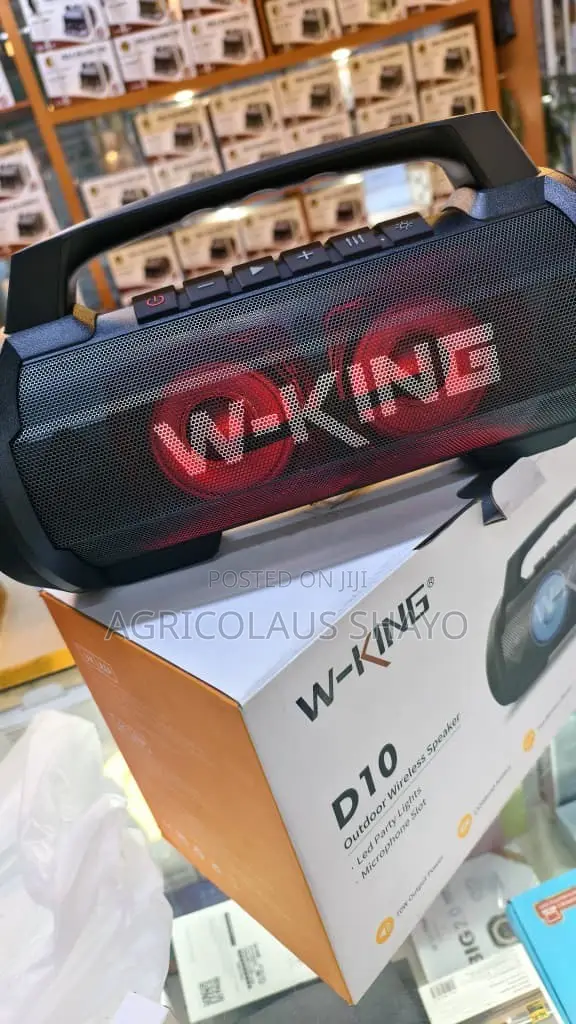 W-King D10 Outdoor Wireless Speaker