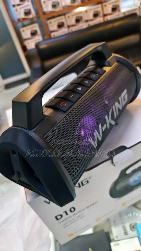 W-King D10 Outdoor Wireless Speaker