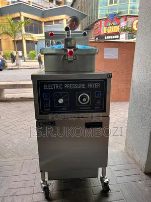 *WG-XZ-24 ELECTRIC PRESSURE FRYER - Free Standing*
-