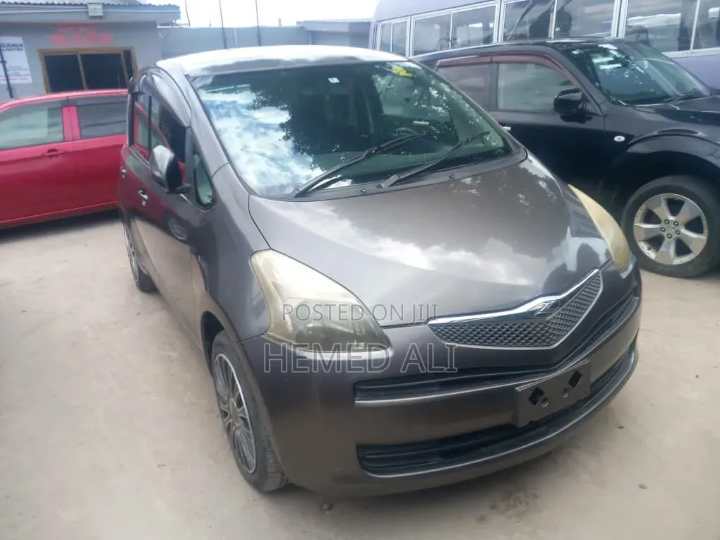 Toyota Ractis 2009 Brown