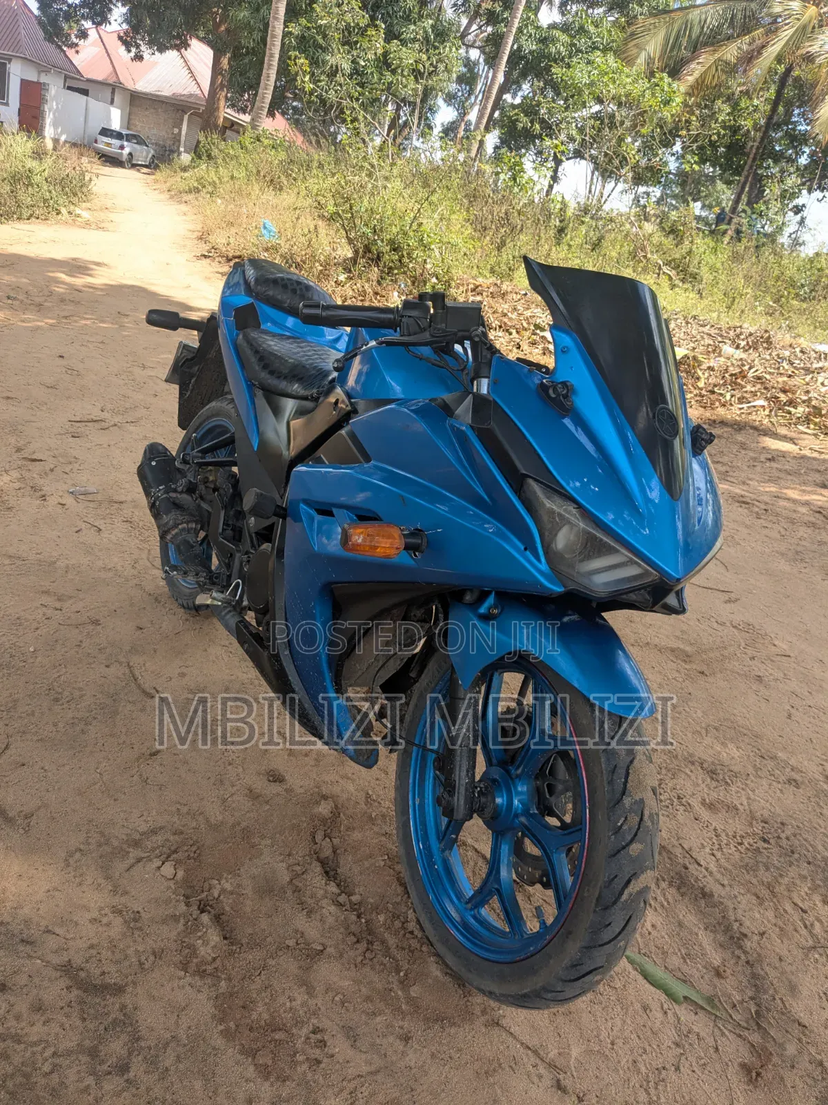 Desperado 2024 Blue