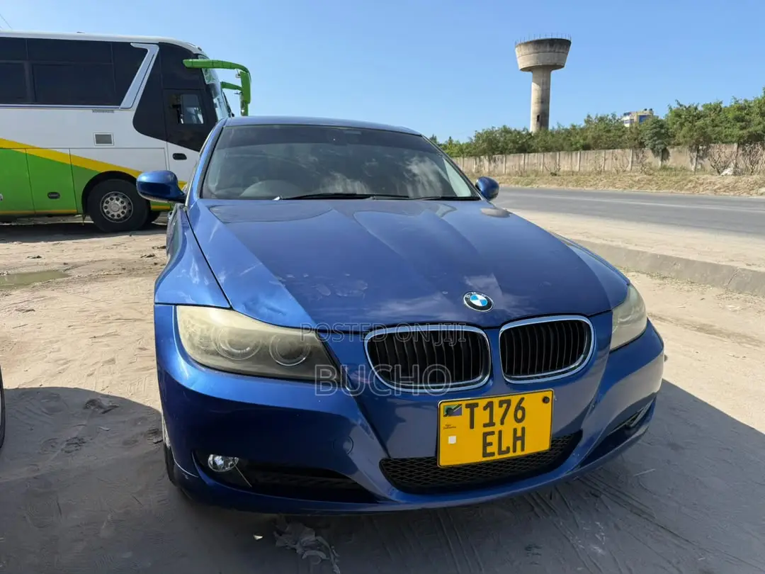 BMW 3 Series 2009 Blue