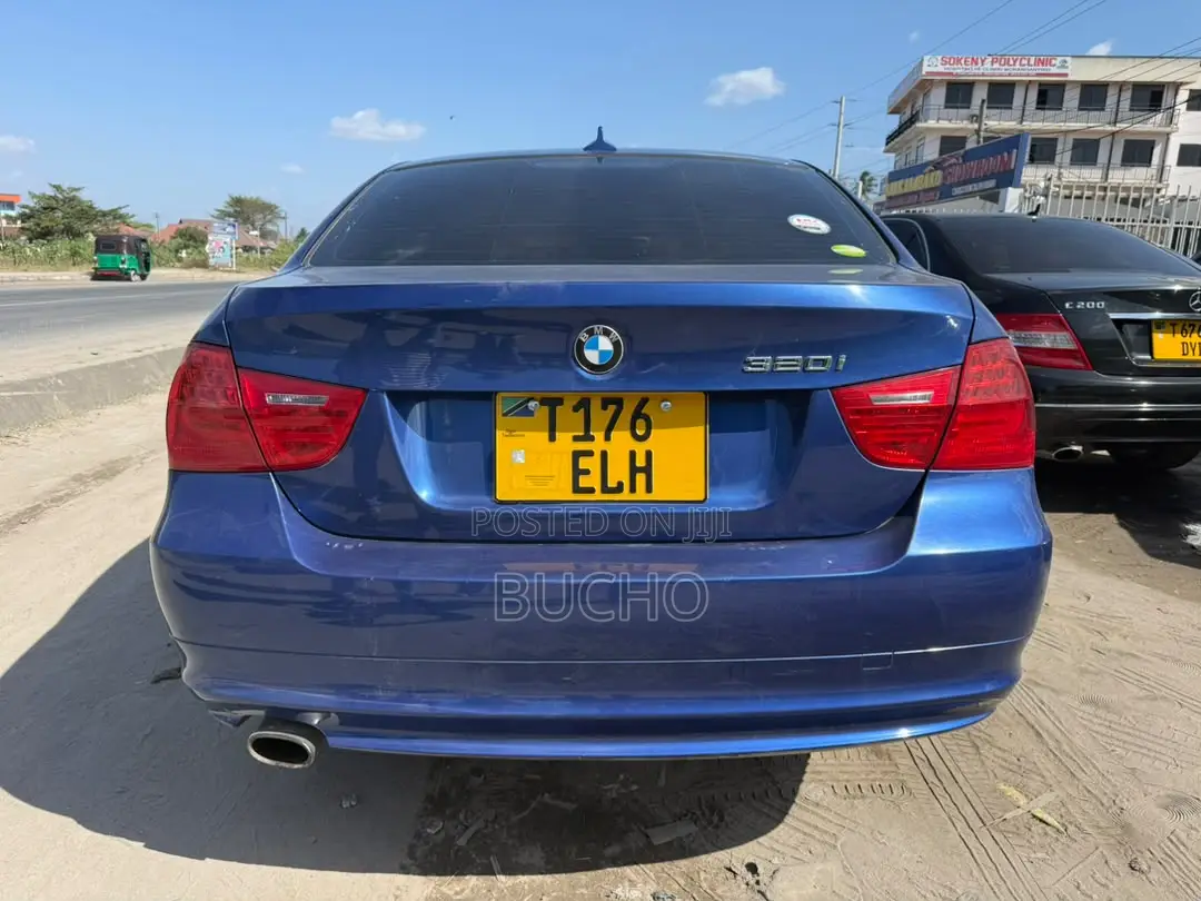 BMW 3 Series 2009 Blue