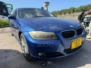 BMW 3 Series 2009 Blue