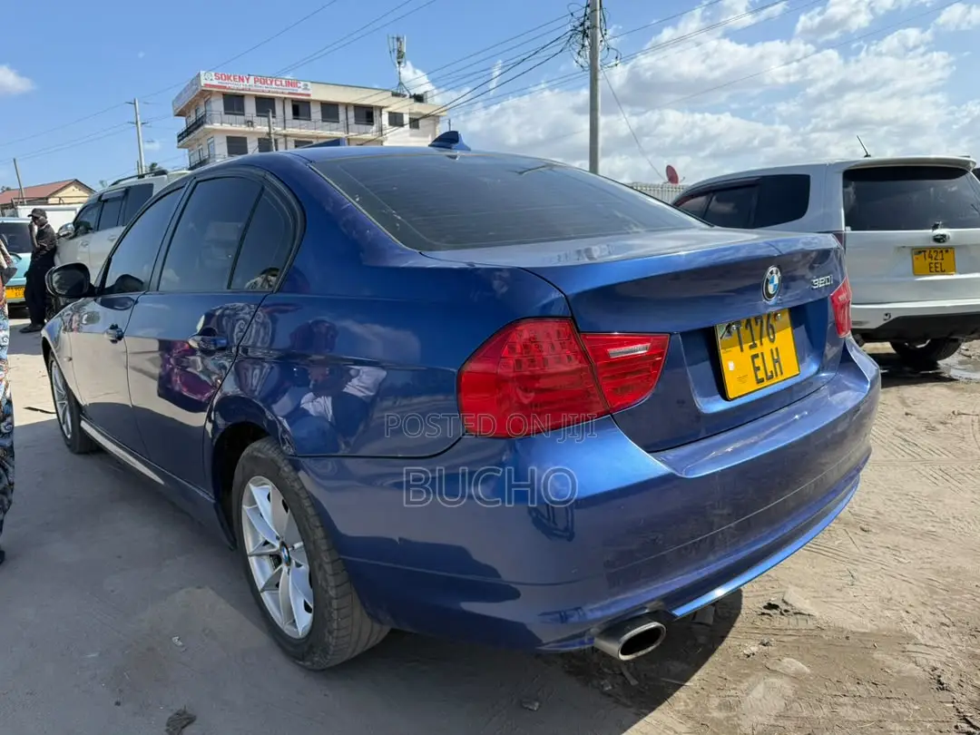 BMW 3 Series 2009 Blue