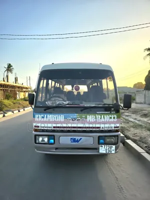 Mitsubishi Fuso Rosa 1993 Beige