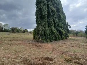 Viwanja Bunju A