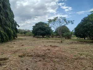 Viwanja Bunju A