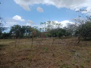 Viwanja Bunju A