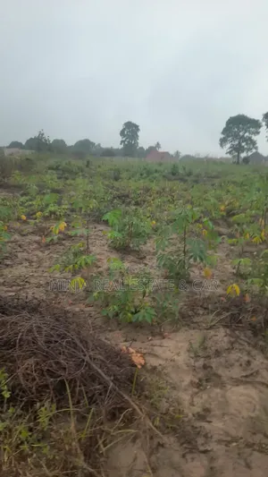 Cheap Industrial Plot for Sale Visiga Madafu