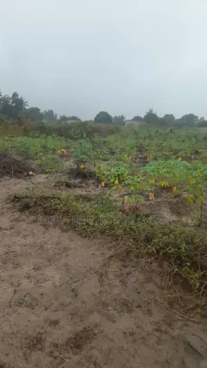 Cheap Industrial Plot for Sale Visiga Madafu