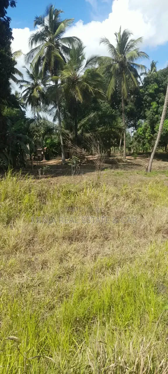 Land for Sale Along Morogoro Road Kongowe Kibaha