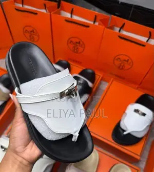 Original Hermes Slides