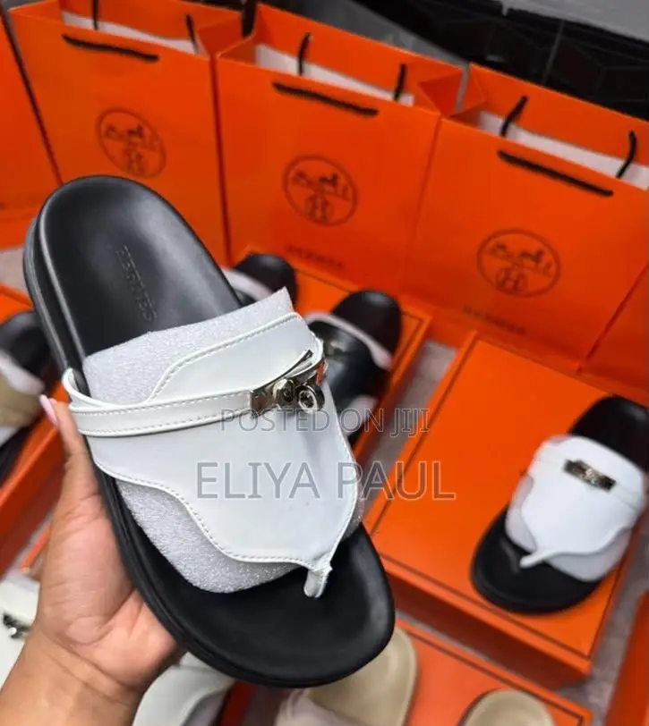 Original Hermes Slides