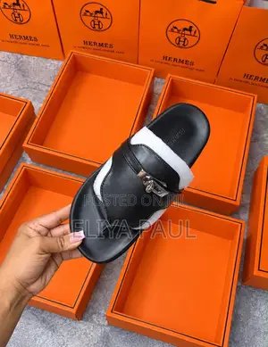 Original Hermes Slides
