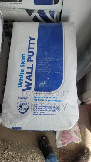 White Skim Wall Putty