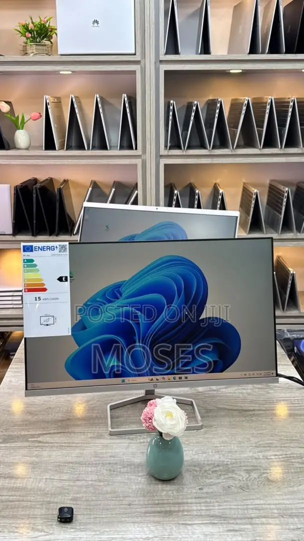HP Monitor