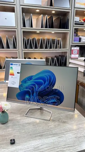 HP Monitor