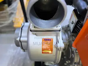 Boss Diesel Water Pump 4”