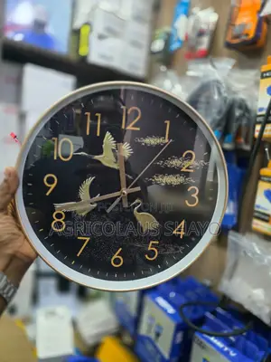 Hidden Wall Clock Spy Camera