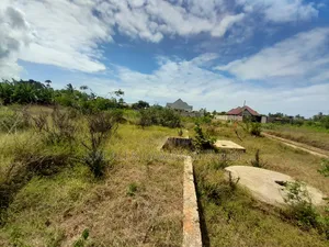 Kiwanja Kinauzwa Kigamboni Mwongozo
