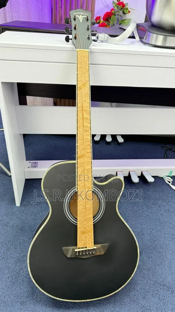 Acoustic Guitars