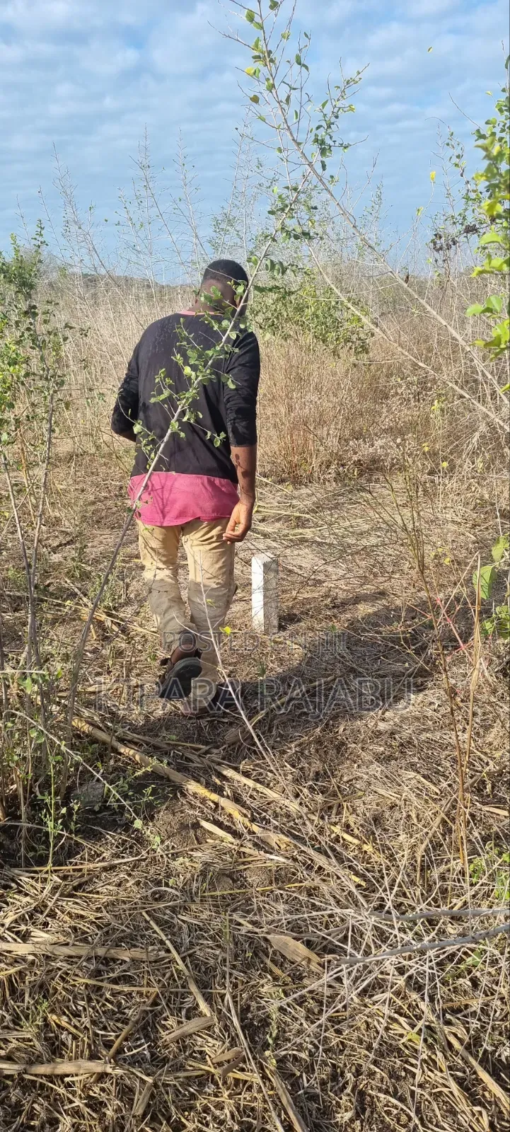 Shamba Rinauzwa