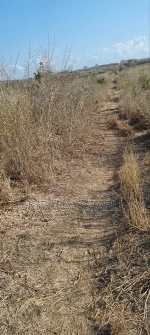 Shamba Rinauzwa