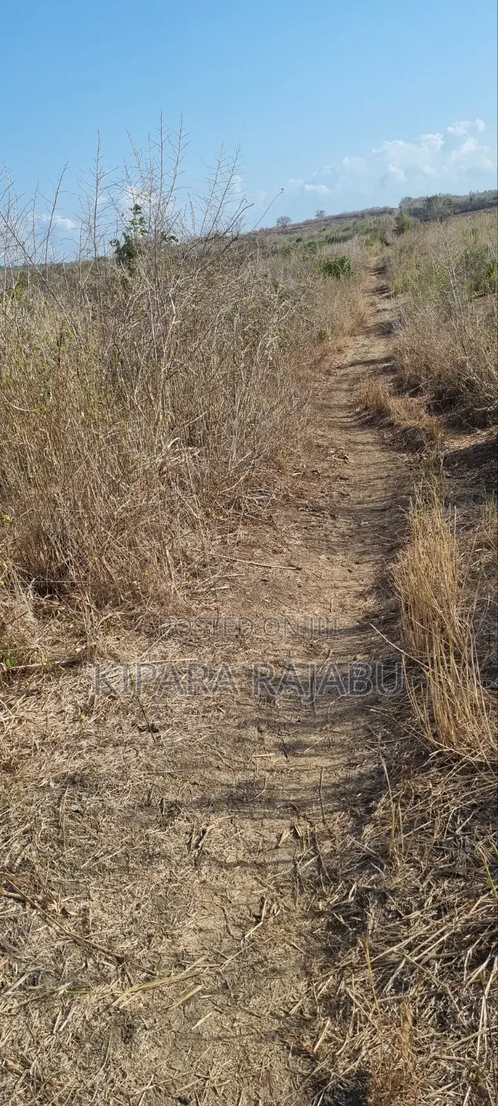 Shamba Rinauzwa