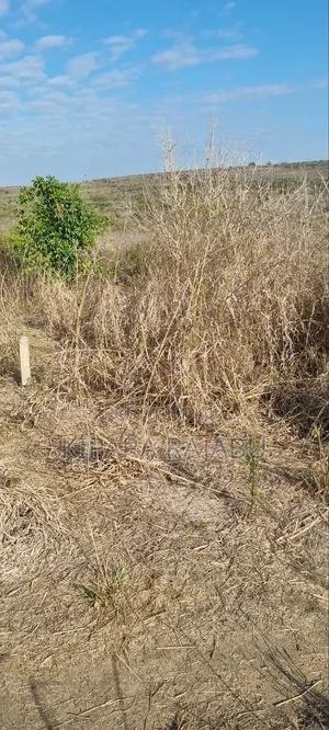 Shamba Rinauzwa