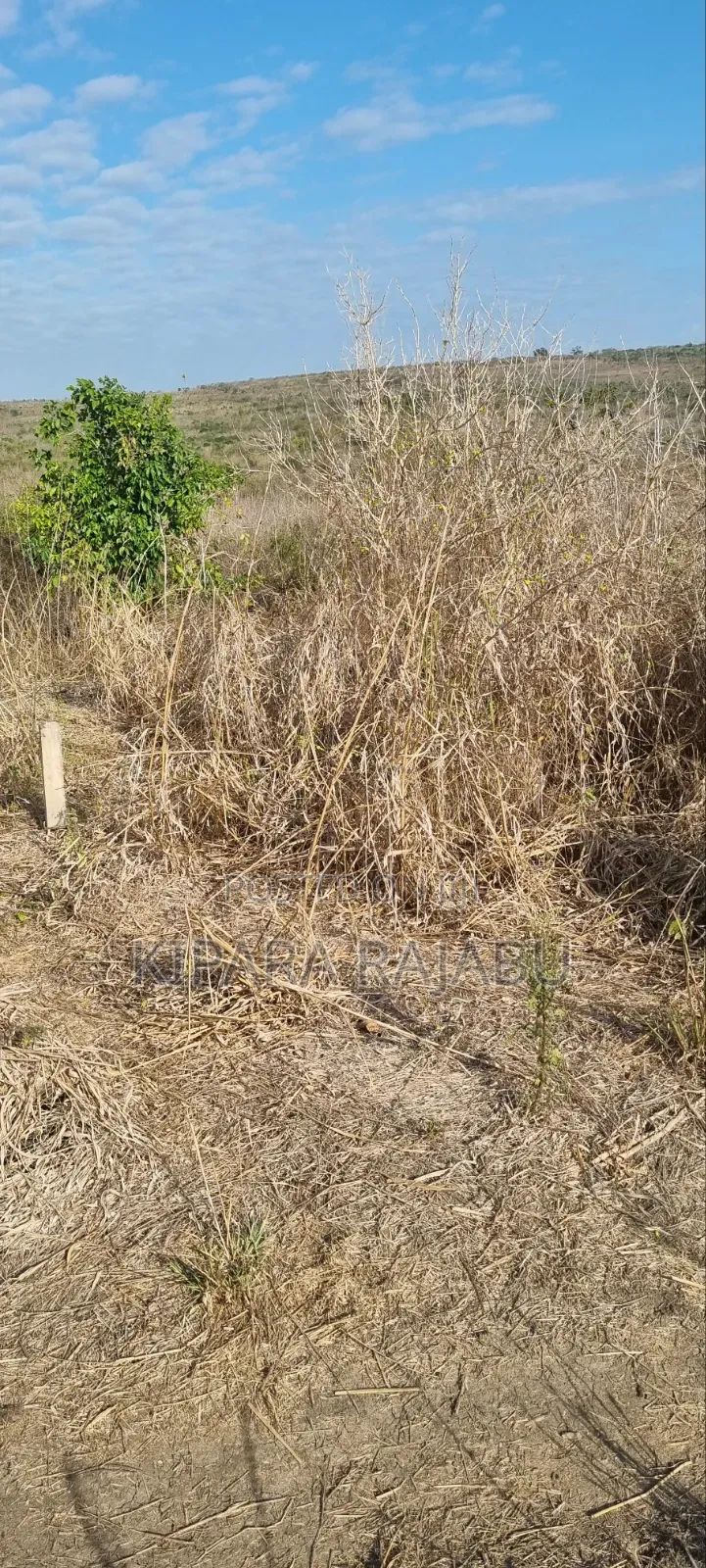 Shamba Rinauzwa