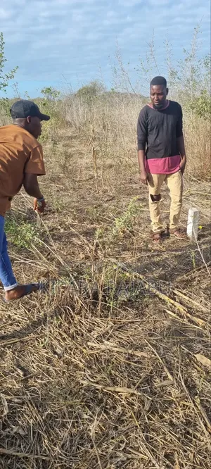 Shamba Rinauzwa