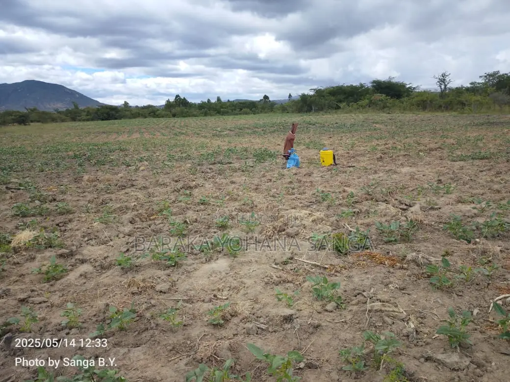 Shamba Ekari 17 Linahati Linauzwa Ufunda Wilaya Ya Iringa