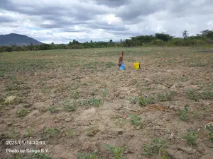 Shamba Ekari 17 Linahati Linauzwa Ufunda Wilaya Ya Iringa