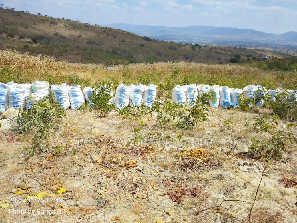 Shamba Ekari 17 Linahati Linauzwa Ufunda Wilaya Ya Iringa