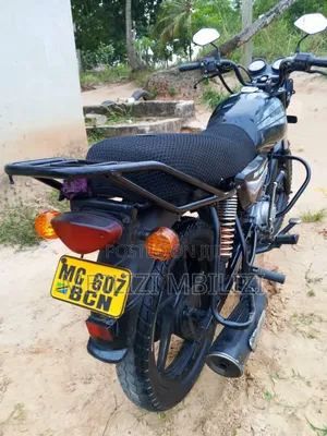 Bajaj Avenger 150 Street 2024 Black