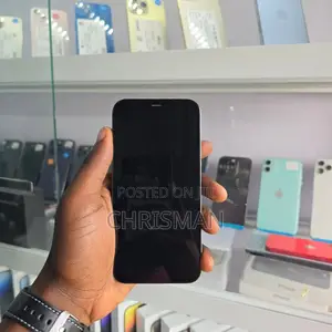 New Apple iPhone 12 Pro Max 256 GB Gray