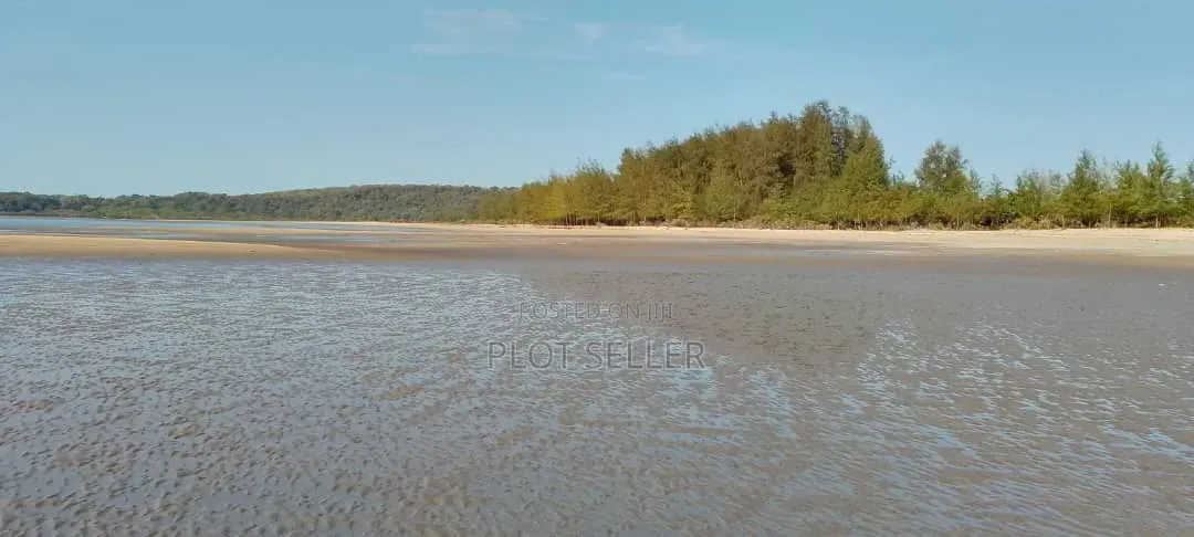 Pangani a Beachfront Area for Sale