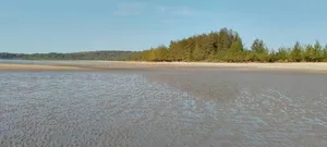 Pangani a Beachfront Area for Sale