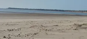 Pangani a Beachfront Area for Sale