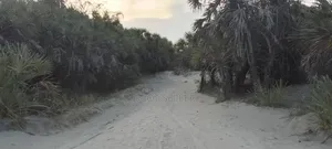 Pangani a Beachfront Area for Sale