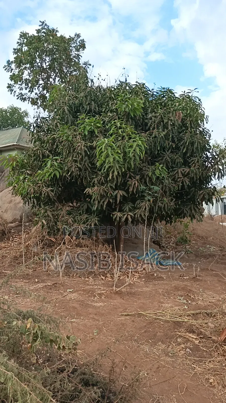 Furnished 3bdrm House in Mkolani for sale