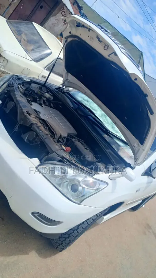 Toyota Harrier 2006 White