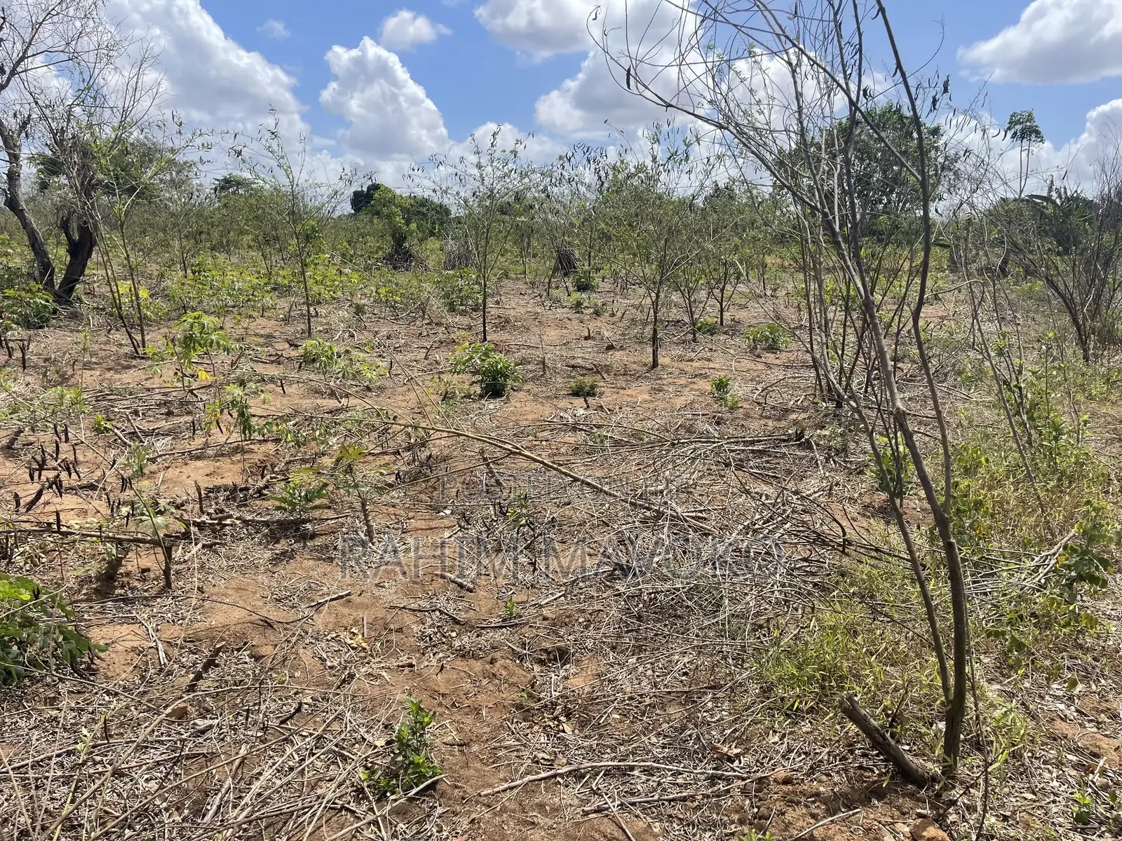 Shamba Linauzwa Kiwangwa Bago Hekari 7