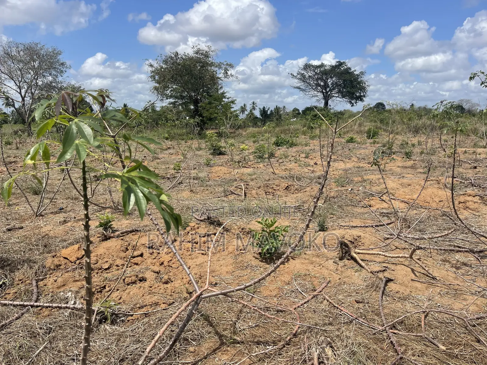 Shamba Linauzwa Kiwangwa Bago Hekari 7