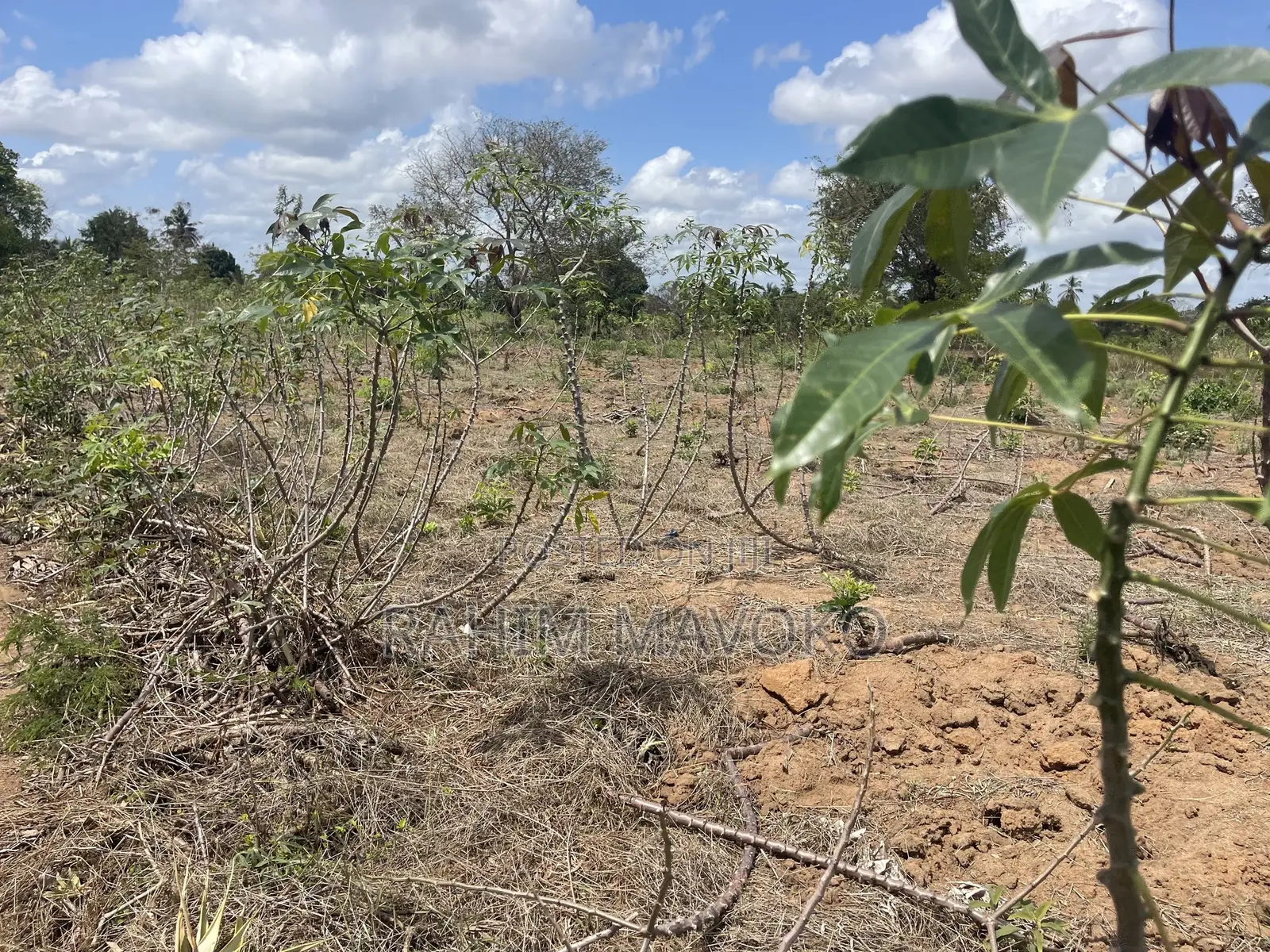 Shamba Linauzwa Kiwangwa Bago Hekari 7