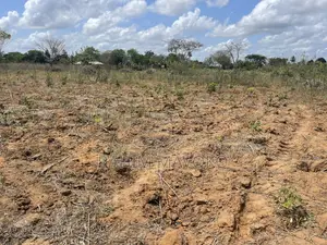 Shamba Linauzwa Kiwangwa Bago Hekari 7