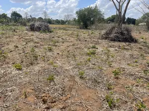 Shamba Linauzwa Kiwangwa Bago Hekari 7