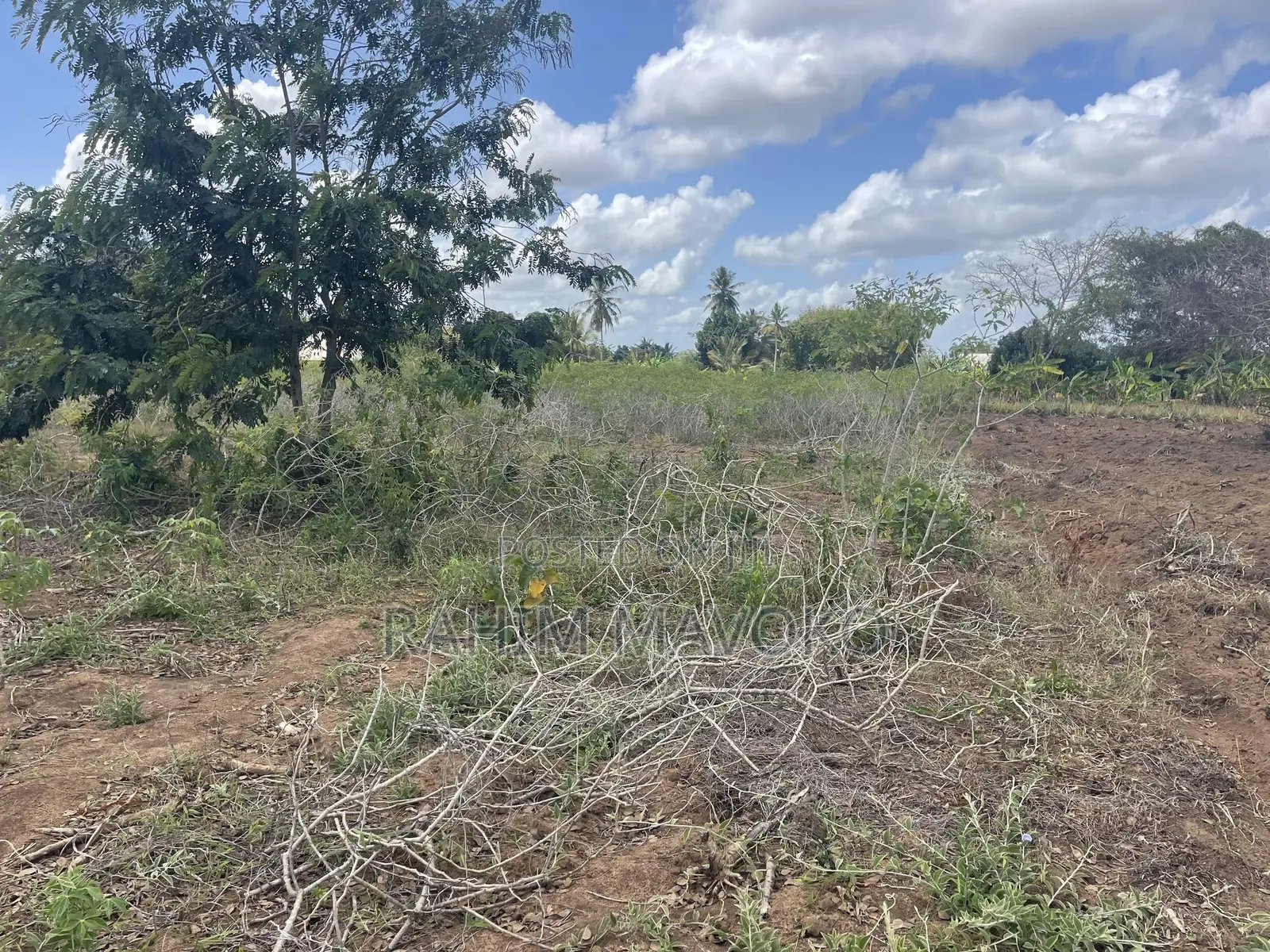 Shamba Linauzwa Kiwangwa Bago Hekari 7