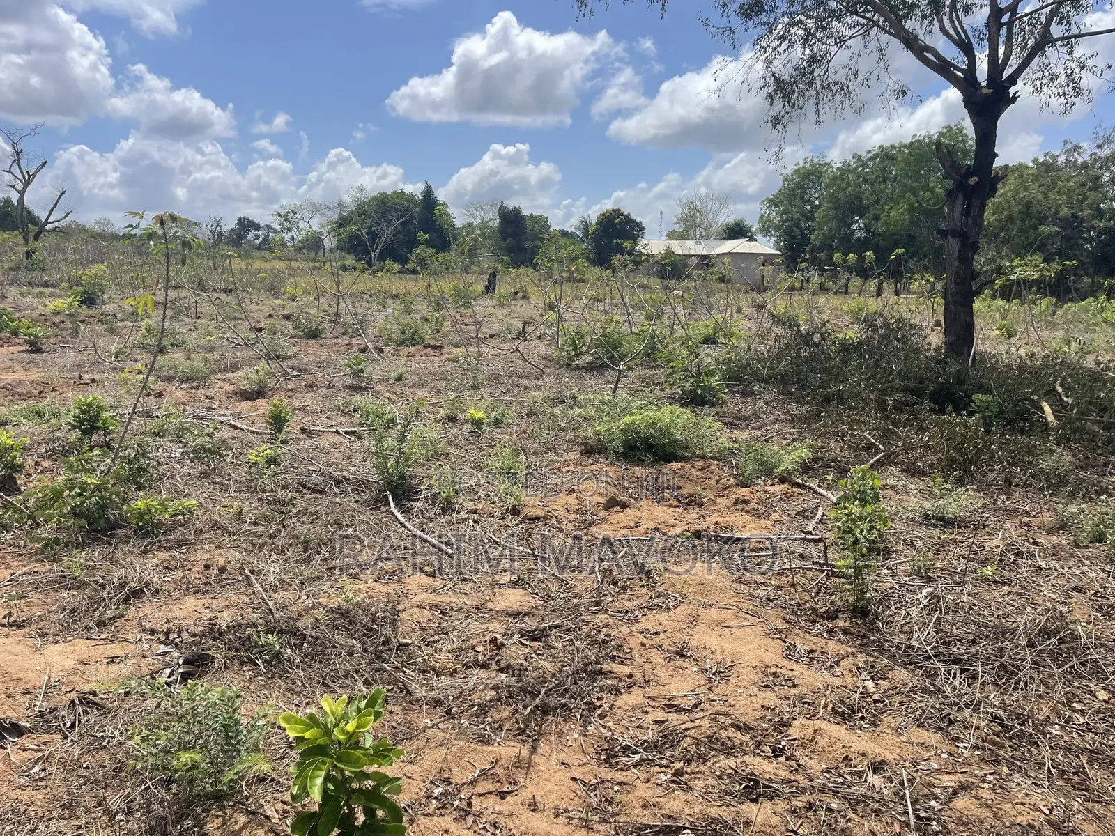 Shamba Linauzwa Kiwangwa Bago Hekari 7